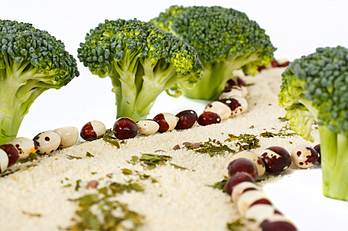 Food Safety Path