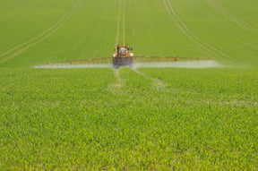 Pesticide Spraying sm