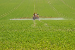 Pesticide_Spraying_sm.jpg